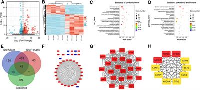 MKI67 as a potential diagnostic biomarker in pulmonary hypertension